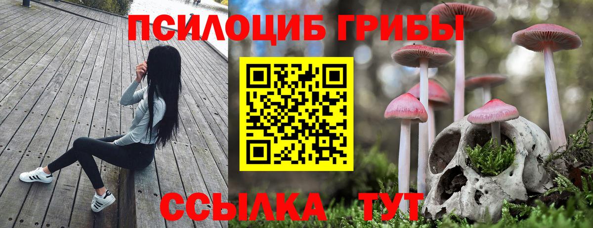 Городец  Псилоцибиновые грибы GOLDEN TEACHER  купить   Вход с VPN 